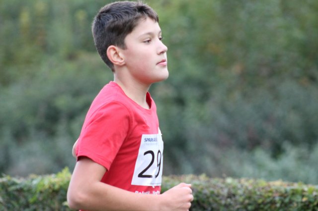 CrossCountryBezirksmeisterschaft_2024